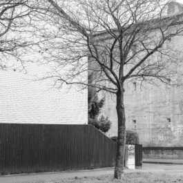 Baum vor Bunkerwand zwischen Wohngebäuden in ruhiger Straße 